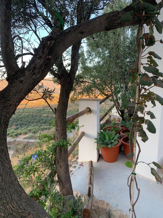 منزل الضيف Lanjarón  في Cortijo Samadhi المظهر الخارجي الصورة